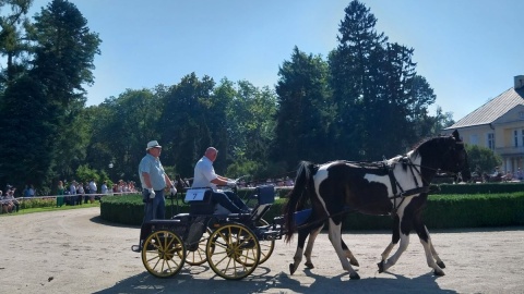 27. Konkurs Pojazdów Konnych w Lubostroniu/fot. Elżbieta Rupniewska