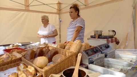 Koła łowieckie, występy ludowe i najróżniejsze regionalne smaki. Na XX Jarmarku Kujawsko-Pomorskim nie można było narzekać na nudę/fot: Tatiana Adonis