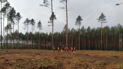 W Tleniu w Borach Tucholskich trwa konferencja leśników pod tytułem „Profesjonalizm Drwala Gwarancją Bezpieczeństwa". Spotkanie połączone jest z zawodami drwali/fot. Marcin Doliński