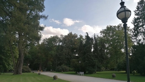 Park w Lubostroniu/fot. mg