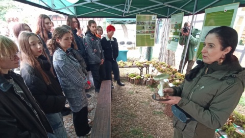 Wiele ciekawych informacji na temat grzybów podano w czwartek w Europejskim Centrum Współpracy Młodzieży w Toruniu. Pracownicy Tucholskiego Parku Krajobrazowego zorganizowali tam II Wystawę Grzybów. Przywieźli ze sobą kilkadziesiąt gatunków/fot. Monika Kaczyńska