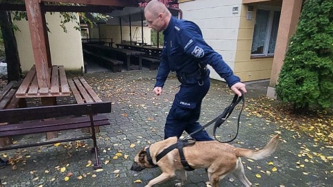 Policyjne psy służbowe z komend w Bydgoszczy i w Nakle przeszły sprawdzian umiejętności/fot. Policja