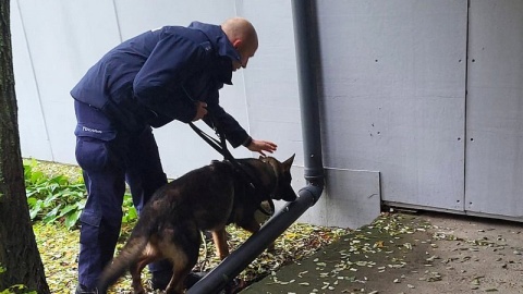Policyjne psy służbowe z komend w Bydgoszczy i w Nakle przeszły sprawdzian umiejętności/fot. Policja
