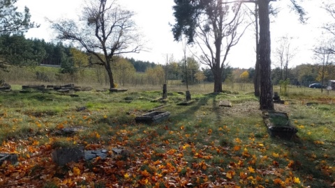 Stowarzyszenie Lapidaria od lat zajmuje się zapomnianymi nekropoliami. Jednym z takich miejsc jest m.in cmentarz ewangelicki nowym na Podgórzu w Toruniu/fot. Michał Zaręba