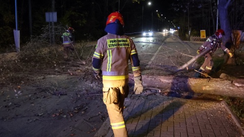 W Małopolsce strażacy interweniowali ponad 80 razy/fot. PAP/Grzegorz Momot