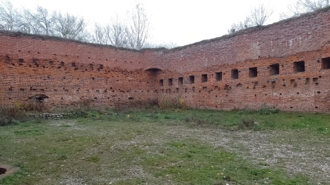 Złapali za worki, rękawiczki i uczyli się lokalnego patriotyzmu. W Toruniu społecznicy sprzątali teren wokół Zamku/fot: Michał Zaręba