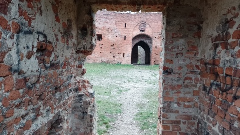 Złapali za worki, rękawiczki i uczyli się lokalnego patriotyzmu. W Toruniu społecznicy sprzątali teren wokół Zamku/fot: Michał Zaręba