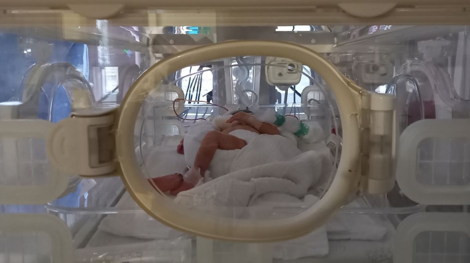 Bydgoskie obchody Dnia Wcześniaka trwały od 14 do 18 listopada/fot. Tatiana Adonis/archiwum