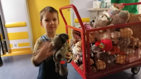 Pieski, misie, kredki i inne zabawki pomagają dzieciom przetrwać trudny czas leczenia w szpitalu/fot: Monika Siwak