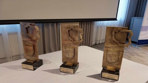 Wielka Nieszawka, Płużnica i Osielsko na podium rankingu społeczno-gospodarczego/fot. Jolanta Fischer