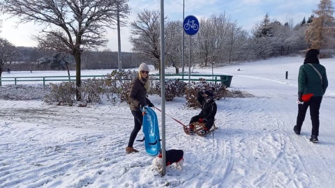 Na Kujawach i Pomorzu sypnęło śniegiem i dzieci ruszyły na sanki do Myślęcinka/fot. Tatiana Adonis