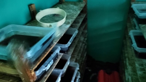 Skoordynowana akcja policjantów pozwoliła zlikwidować laboratorium narkotykowe w Koninie. Funkcjonariusze zabezpieczyli blisko pół tonu/fot: KWP Bydgoszcz
