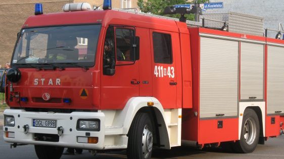 Pożar pobocza drogi krajowej nr 15 w Lipnicy. Ogień ugasili strażacy, pojawiły się utrudnienia w ruchu