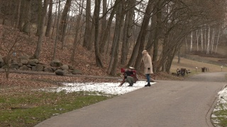 No i gdzie ta wiosna Może w Ogrodzie Botanicznym w Myślęcinku [wideo, galeria]