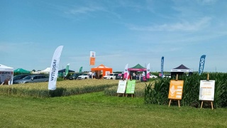 Targi AGRO-TECH w Minikowie i możliwe utrudnienia na DK nr 10
