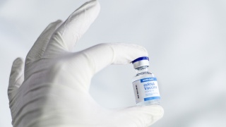 Nobel z dziedziny medycyny przyznany. Komitet wzmocnił wiarygodność technologii mRNA