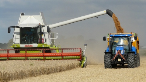 Komisja Europejska przedłużyła zakaz importu produktów rolnych z Ukrainy do połowy września