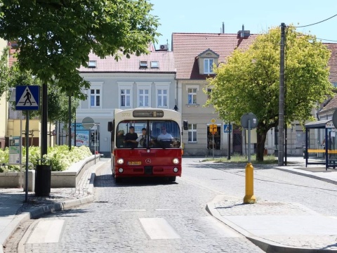 Specjalna linia 52 BBO w Bydgoszczy. Zabytkowym autobusem z Błonia do Myślęcinka