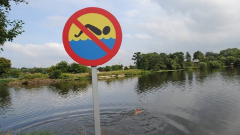 Sinice w jeziorach w Grudziądzu i Janikowie Kąpieliska zamknięte do odwołania