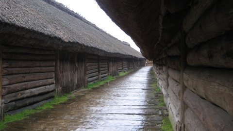 Prehistoryczna osada w Biskupinie świętuje 90-lecie odkrycia. Zaczęło się od pogłębiania rzeki