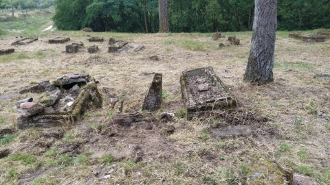 Nowe wieści z mennonickiego cmentarza w Przechówku. Grobów jest znacznie więcej