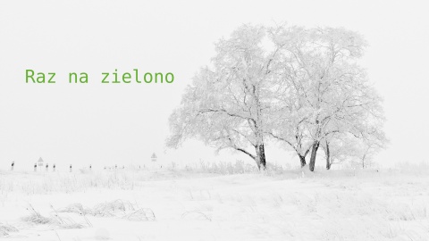 Raz na zielono z 2 grudnia 2023 [wideotransmisja od godz. 12:05]