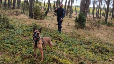 Psy służące w polskiej armii będą miały nadawane dożywotnie stopnie wojskowe