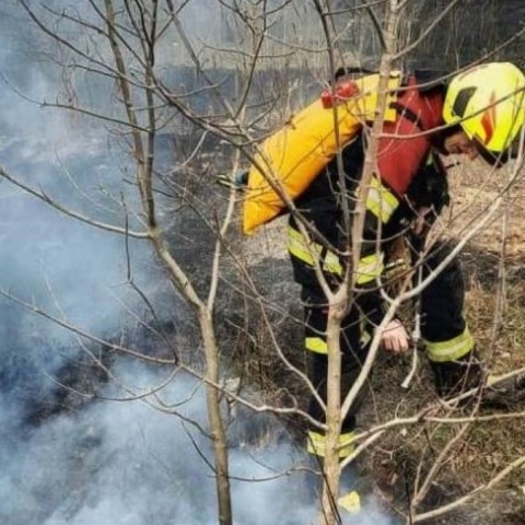 Stop pożarom traw Strażacy przypominają: wypalanie traw jest zakazane i groźne