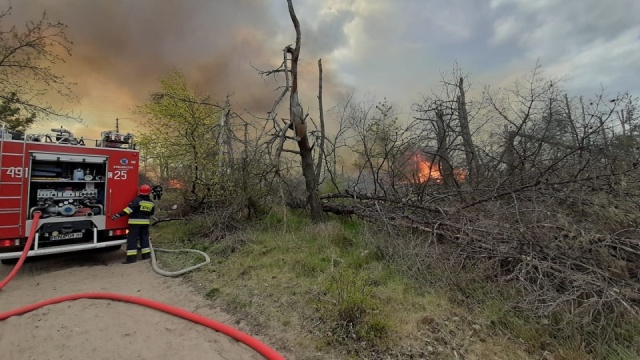 Wzrasta zagrożenie pożarowe w lasach. Kujawsko-pomorskie w czołówce
