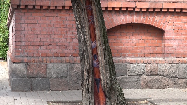 Namalował obrazy na starych drzewach w Bydgoszczy. Urban Art Linasa Domarackasa [wideo]