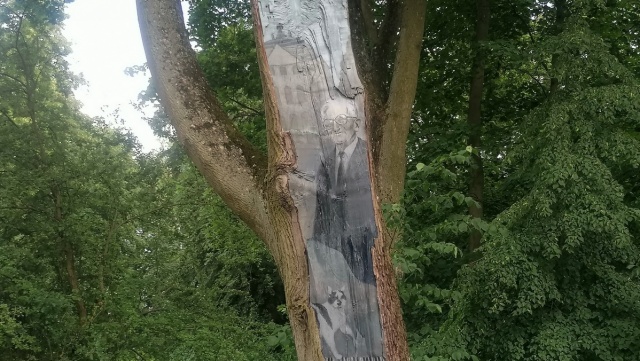 Andrzej Szwalbe na drzewie. Spacer po parku w podbydgoskim Ostromecku [zdjęcia]