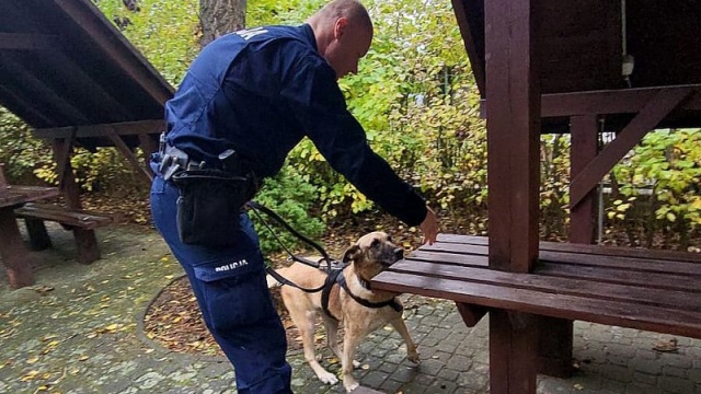 Kudłaci komisarze policji swój doroczny egzamin zdali...szczekająco [wideo, zdjęcia]