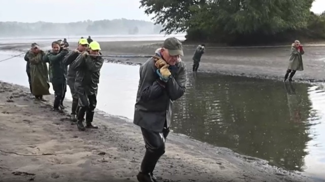 Stoją w wodzie po pas i ciągną sieci pełne ryb. Kończą się karpiowe dożynki [wideo]