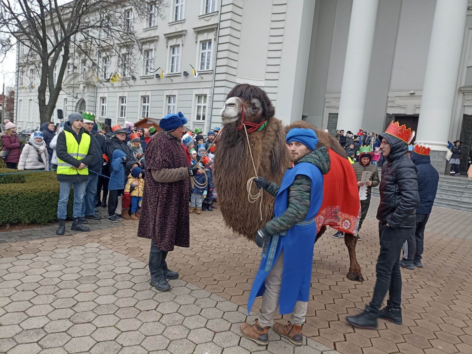 W bydgoskim Orszaku król afrykański jechał na wielbłądzie/fot. Jolanta Fischer