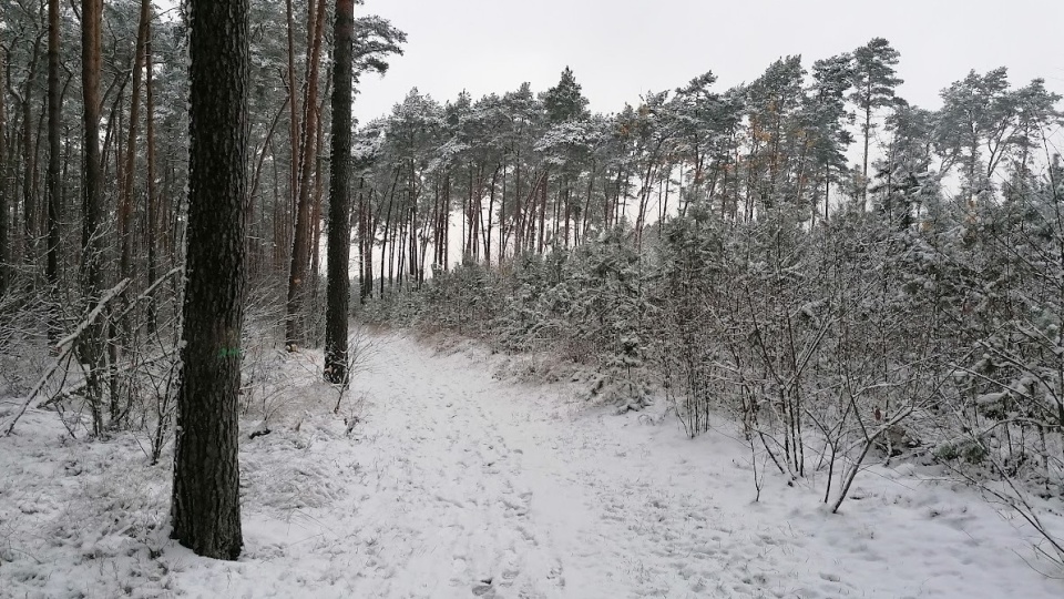 Im bliżej weekendu, tym więcej śniegu i niższe temperatury/fot. Archiwum