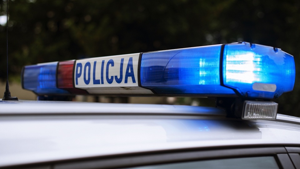 Do policyjnego aresztu trafił 24-letni kierowca opla astry, który potrącił na przejściu dla pieszych 62-letnią kobietę. Mężczyzna uciekł z miejsca zdarzenia, nie udzielając poszkodowanej pomocy./fot. Pixabay