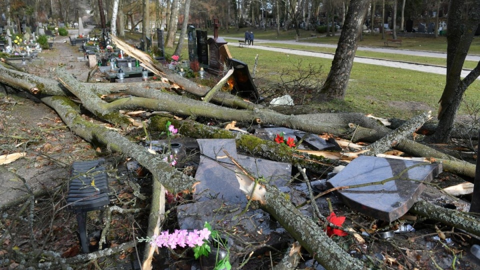 Skutki huraganowego wiatru na Cmentarzu Srebrzysko w Gdańsku/fot. Adam Warżawa, PAP