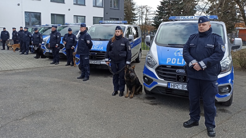 Pięć Fordów i cztery Volkswageny do przewozów psów policyjnych. To nowe pojazdy, które trafią do kilku miast w województwie/Fot. Monika Kaczyńska