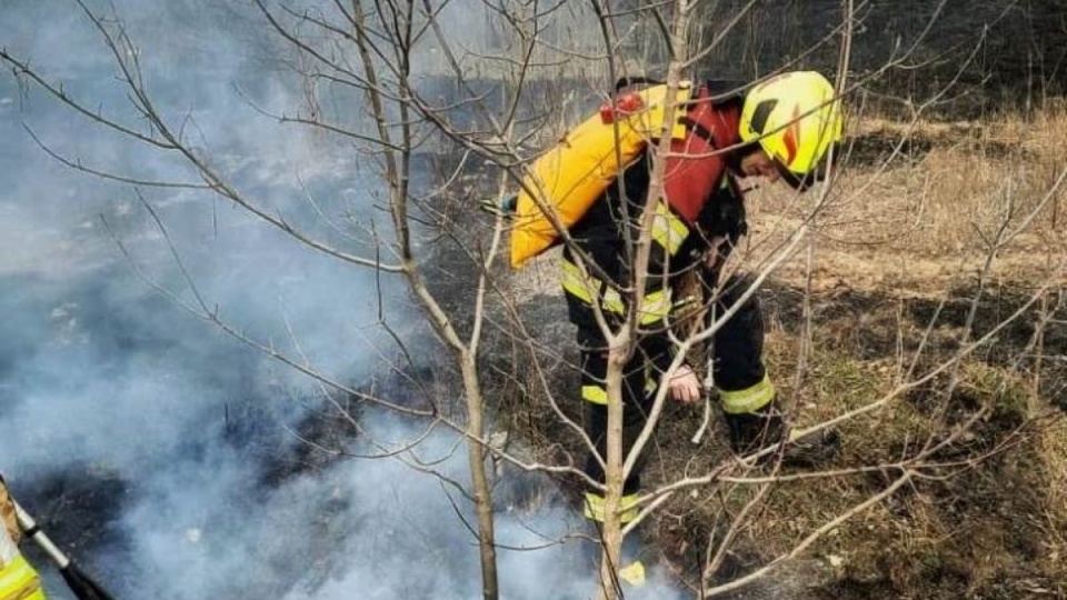 Pożar nieużytków przy ul. Inwalidów w Bydgoszczy/fot. Bydgoszcz 998, Facebook (kadrowanie: redakcja)