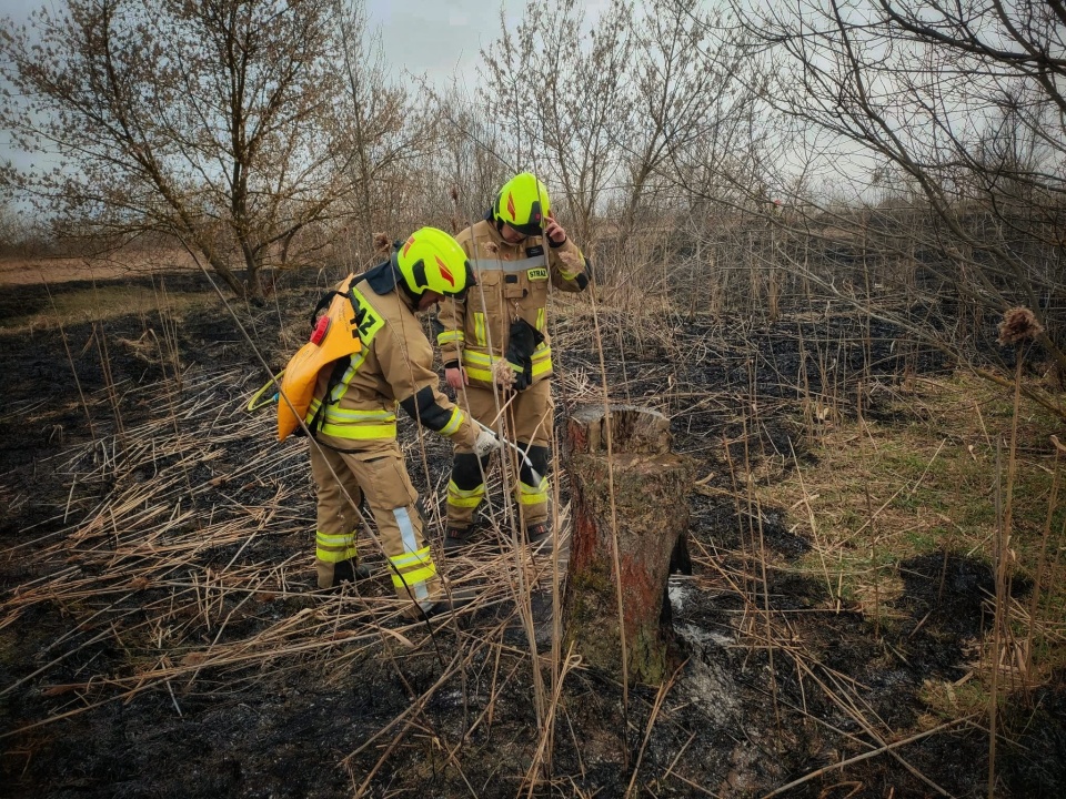 Pożar nieużytków przy ul. Inwalidów w Bydgoszczy/fot. Bydgoszcz 998, Facebook