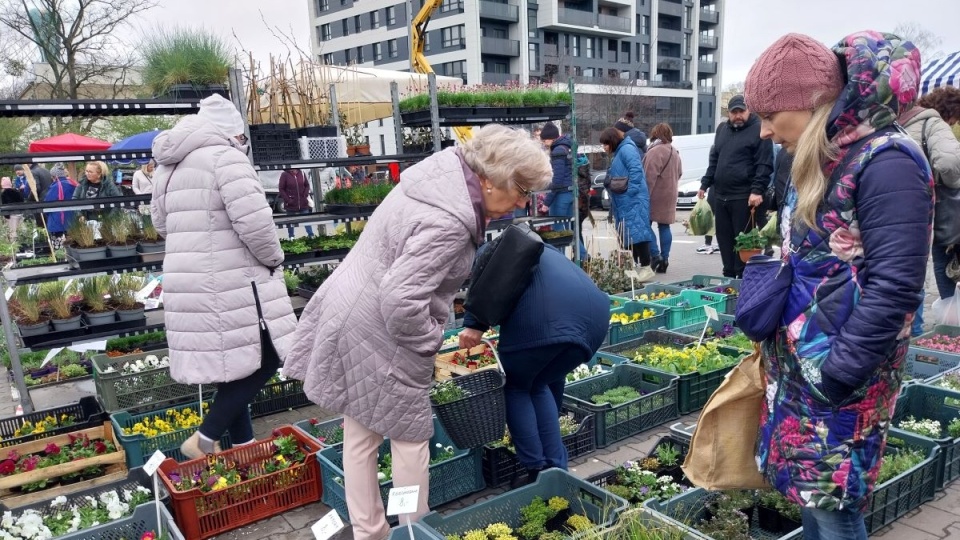 Wiosenny Kiermasz Ogrodniczy w Bydgoszczy/fot. Elżbieta Rupniewska