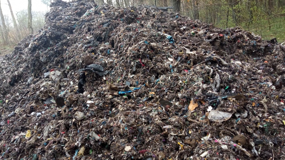 W lesie pod Aleksandrowem Kujawskim nieznany sprawca porzucił 22 tony śmieci. Sprawcy zanieczyszczenia natury szuka teraz policja/fot. WIOS Bydgoszcz