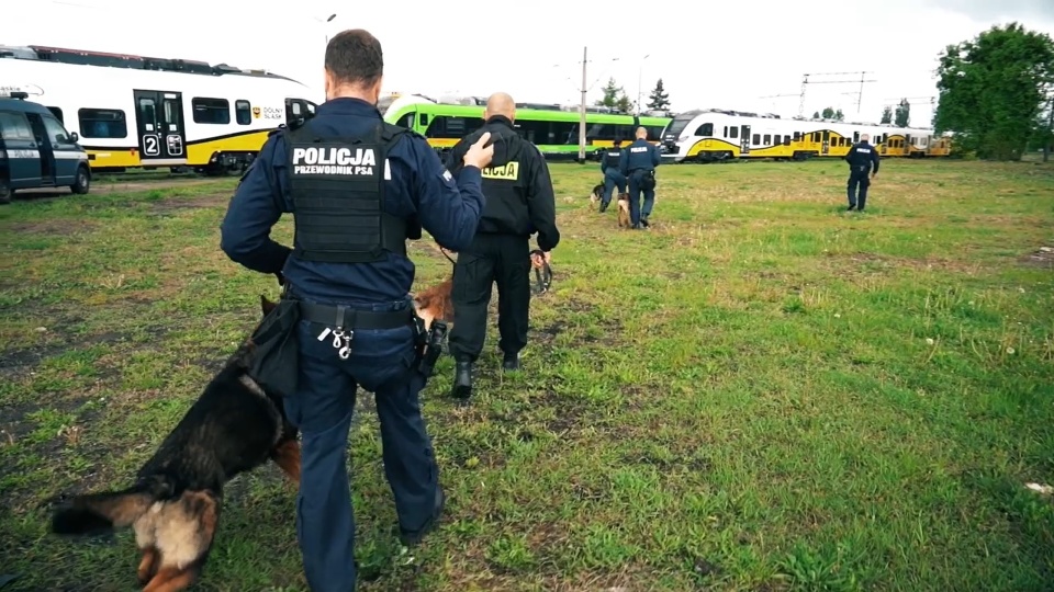 Komenda Miejska Policji w Bydgoszczy zaprasza na specjalny piknik. W programie znajdzie się tor przeszkód, pokaz psów służbowych i nie tylko/Fot: zrzut ekranu/Youtube/KWP Bydgoszcz