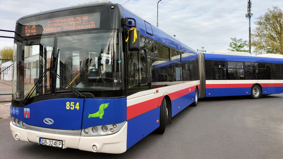Z okazji Dnia Kierowcy Zawodowego bydgoskie autobusy zostały ozdobione żółtymi wstążkami/fot: MZK w Bydgoszczy