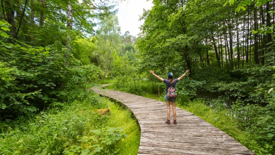 Park dendrologiczny „Nad Stążką"/fot. Mikołaj Kuras dla UM