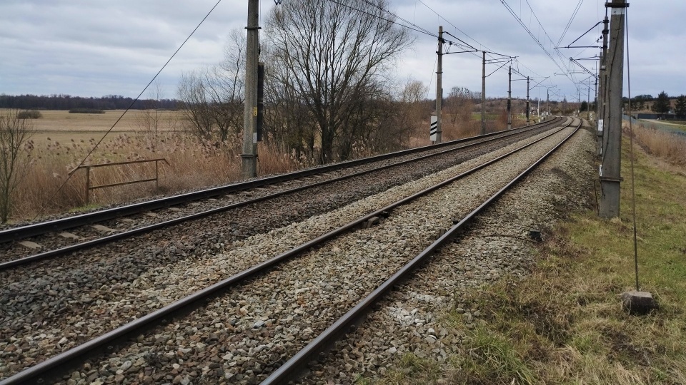 Tory linii kolejowej w miejscowości Trzeciewnica /fot. Przemysław Zieliński/PKP PLK