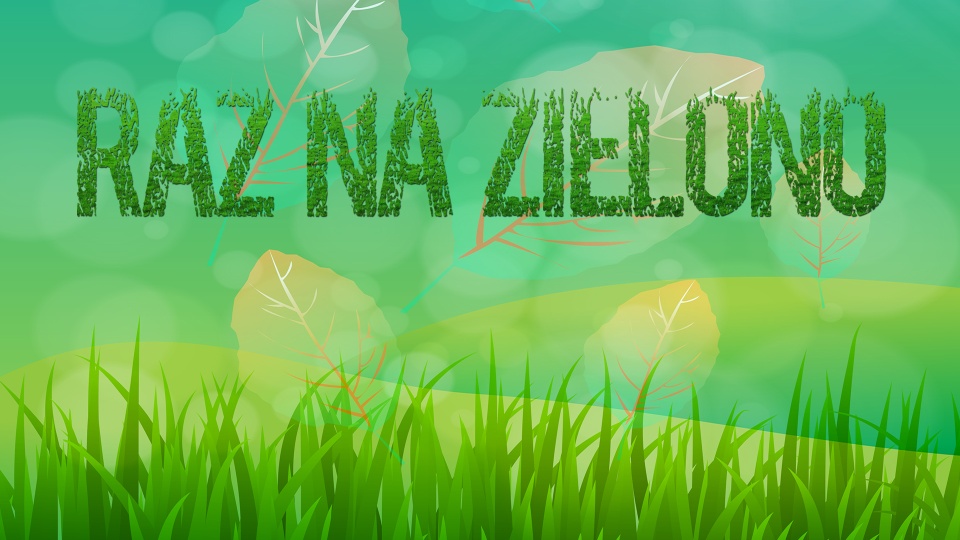 Raz na zielono w Polskim Radiu PiK