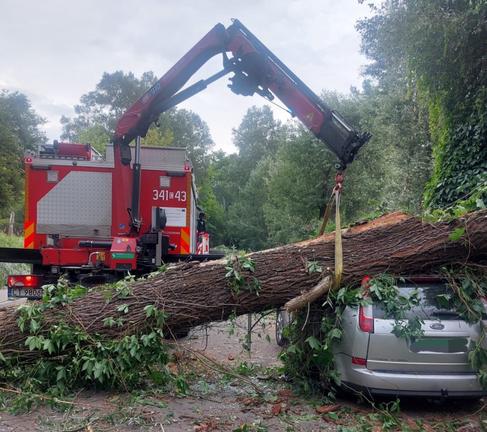 Drzewo przewróciło się na auto przy ul. Przybyszewskiego w Toruniu. Na szczęśie kierowca nie odniósł obrażeń/fot. Tomasz Krajnik, KM PSP Toruń, Facebook