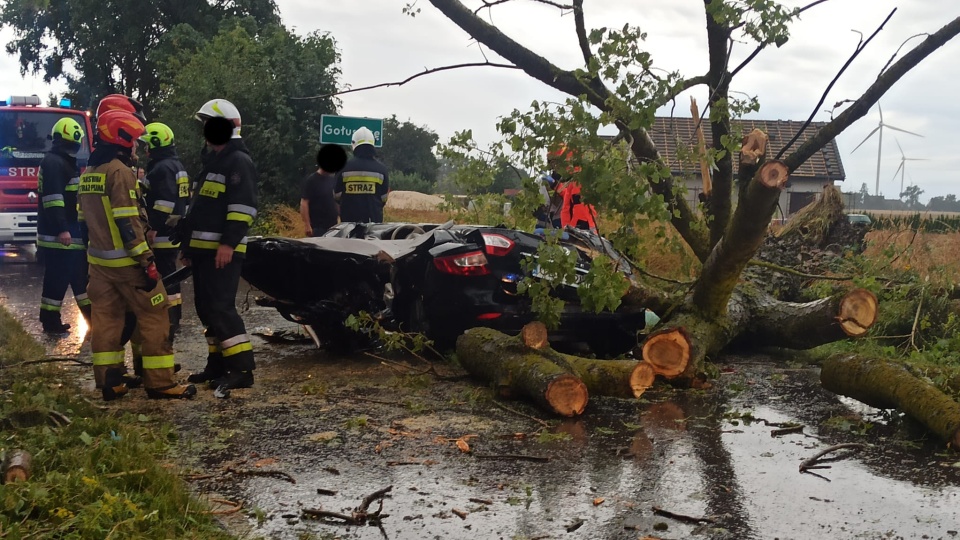 Трагічний випадок стався під час суботньої грози в Голушицях Свєцького повіту. Дерево впало на автомобіль, що їхав/fot. OSP KSRG Wałdowo