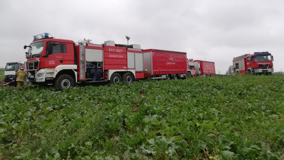 Do awarii podziemnej rury doszło w sobotę (5 sierpnia) wieczorem. Nie wiadomo, ile surowca wyciekło. Pole buraków cukrowych, o powierzchni 30 na 210 metrów, pokryte zostało czarną mazią/fot. PERN SA (nadesłane)